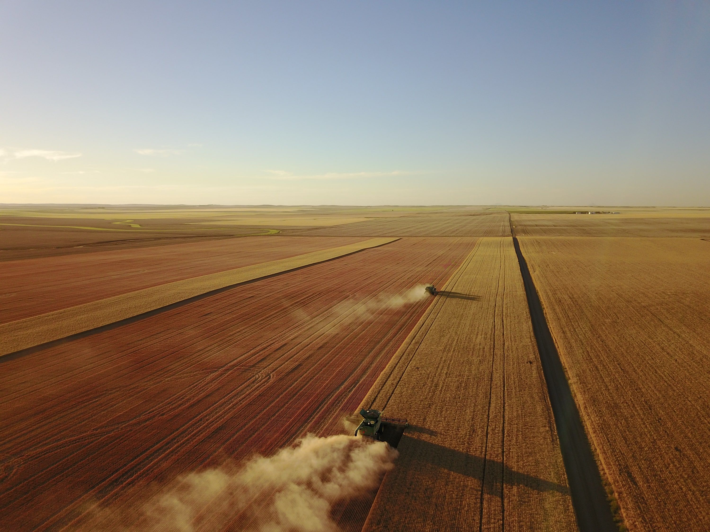 Two combines cutting parallel strips of wheat, seen from the air