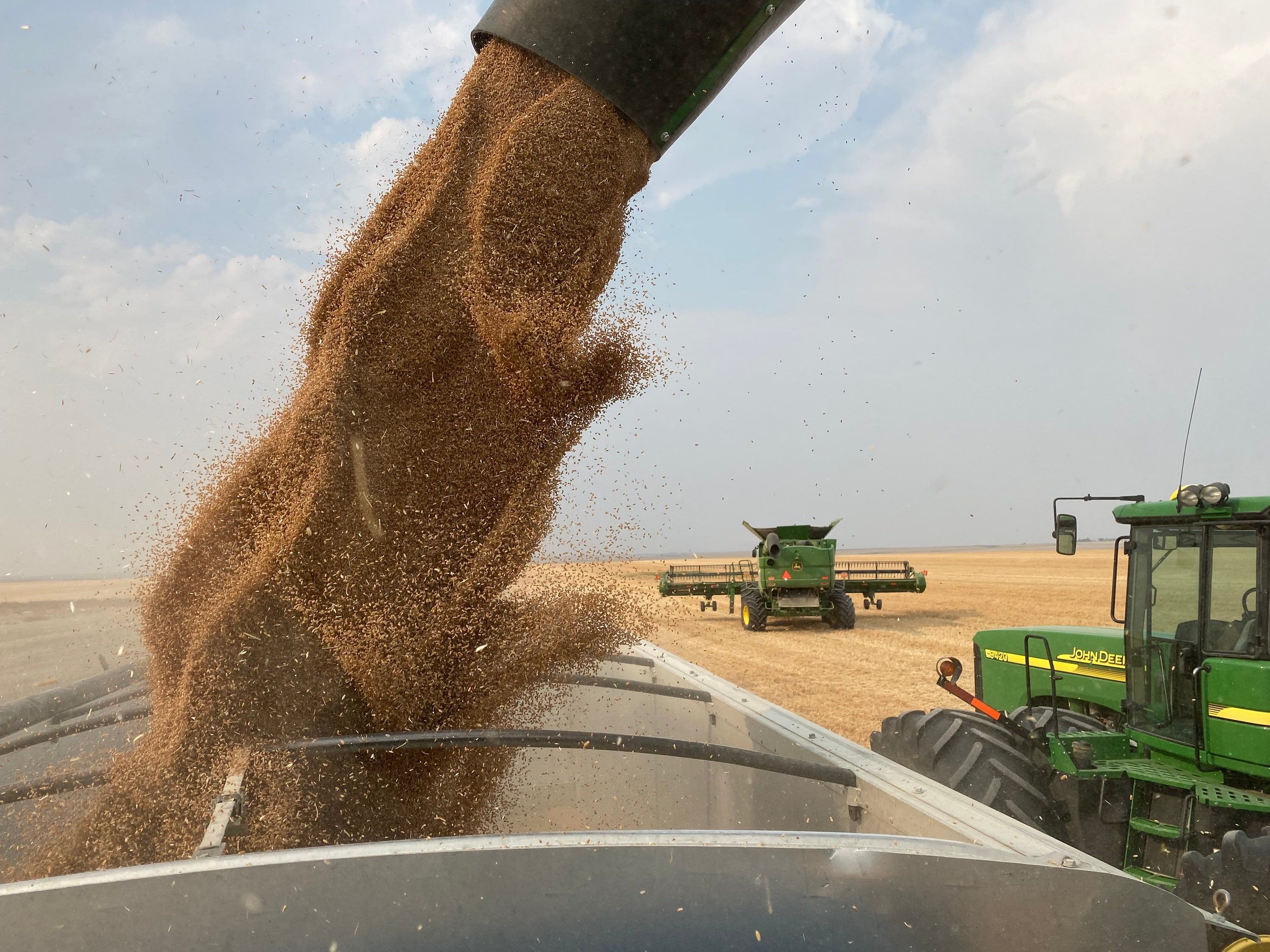 Wheat pouring from a combine auger into a grain cart